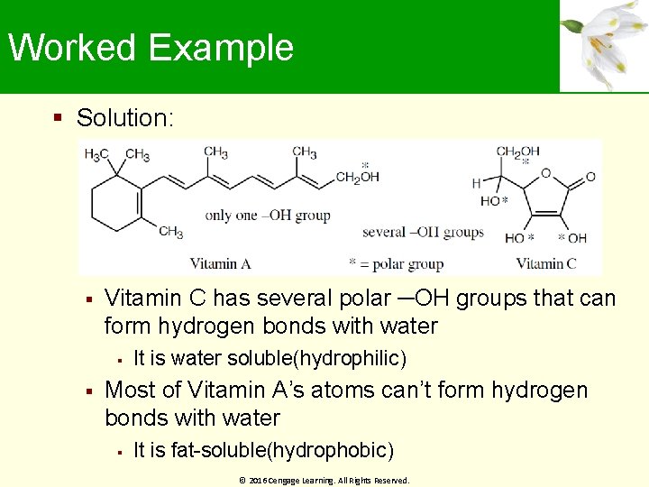 Worked Example Solution: Vitamin C has several polar ─OH groups that can form hydrogen