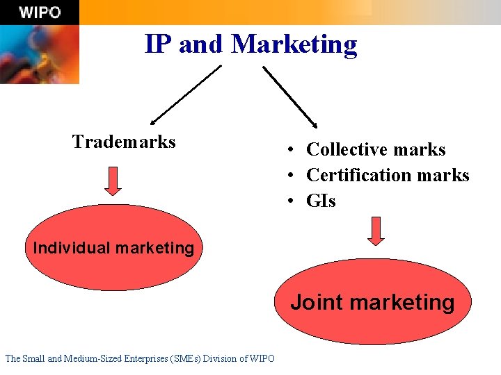 IP and Marketing Trademarks • Collective marks • Certification marks • GIs Individual marketing
