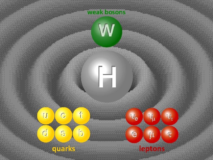 weak bosons quarks leptons 