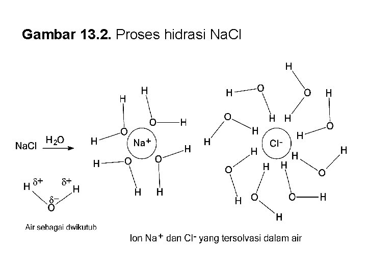 Gambar 13. 2. Proses hidrasi Na. Cl 