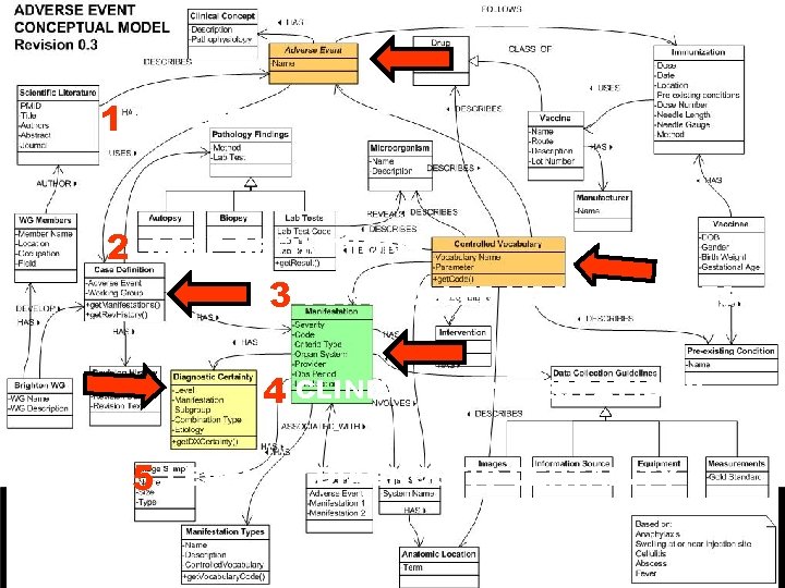 1 ADVERSE EVENTS 2 CASE DEFINITIONS 3 CONTROLLED VOCABULARIES 4 CLINICAL MANIFESTATIONS 5 LEVEL