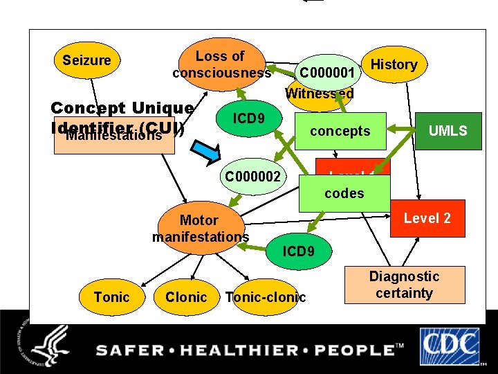 Seizure Loss of consciousness Concept Unique Identifier (CUI) Manifestations C 000001 Witnessed ICD 9