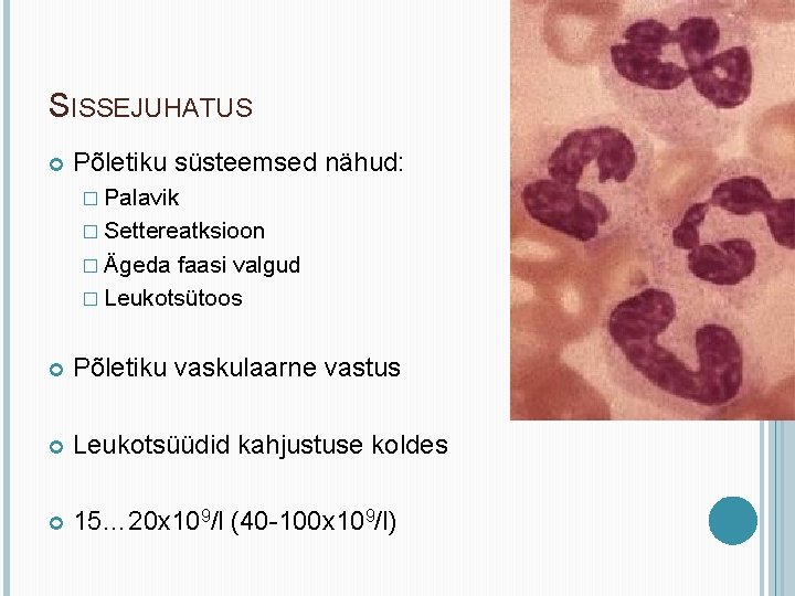 SISSEJUHATUS Põletiku süsteemsed nähud: � Palavik � Settereatksioon � Ägeda faasi valgud � Leukotsütoos