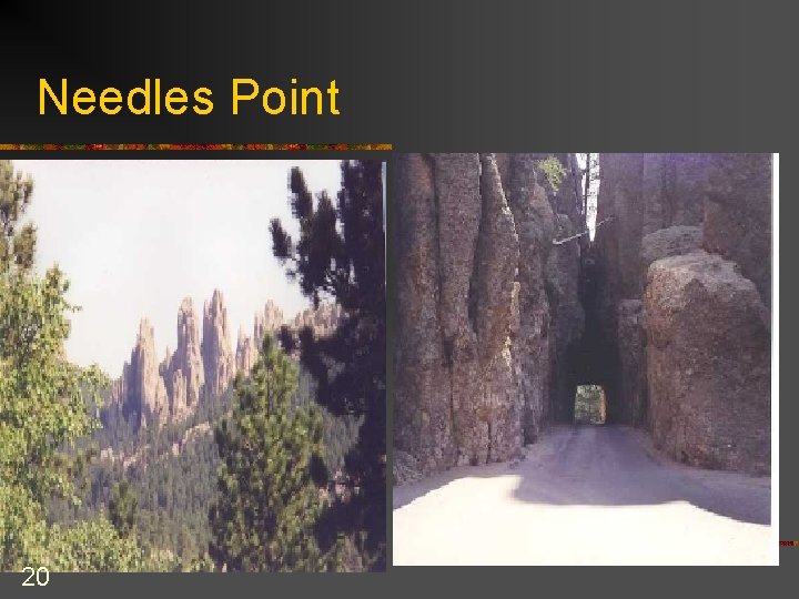 Needles Point 20 