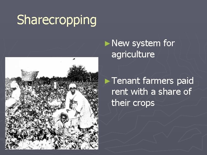 Sharecropping ► New system for agriculture ► Tenant farmers paid rent with a share