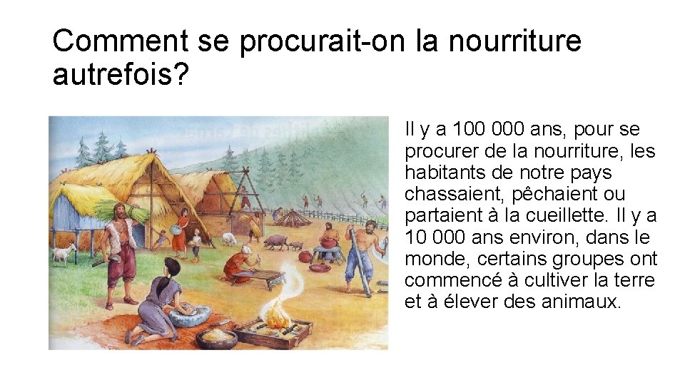 Comment se procurait-on la nourriture autrefois? Il y a 100 000 ans, pour se