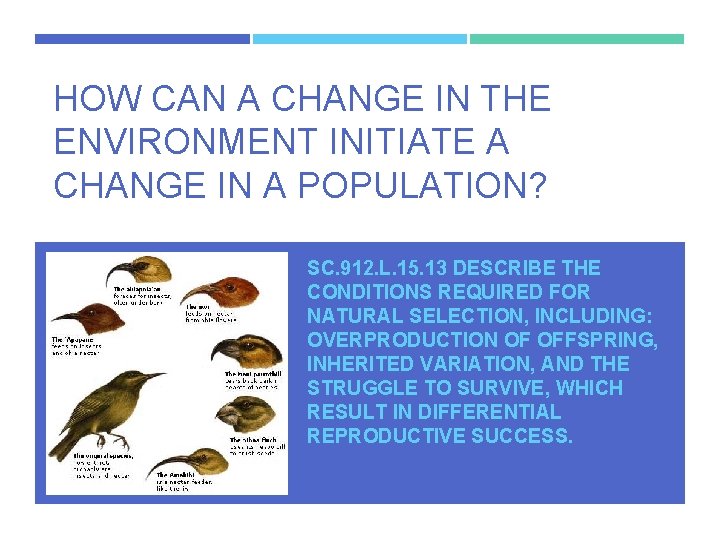 HOW CAN A CHANGE IN THE ENVIRONMENT INITIATE A CHANGE IN A POPULATION? SC.