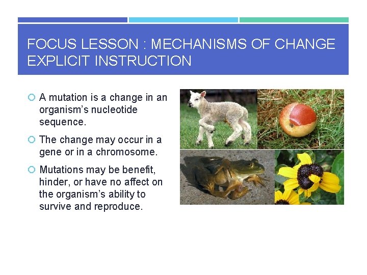 FOCUS LESSON : MECHANISMS OF CHANGE EXPLICIT INSTRUCTION A mutation is a change in