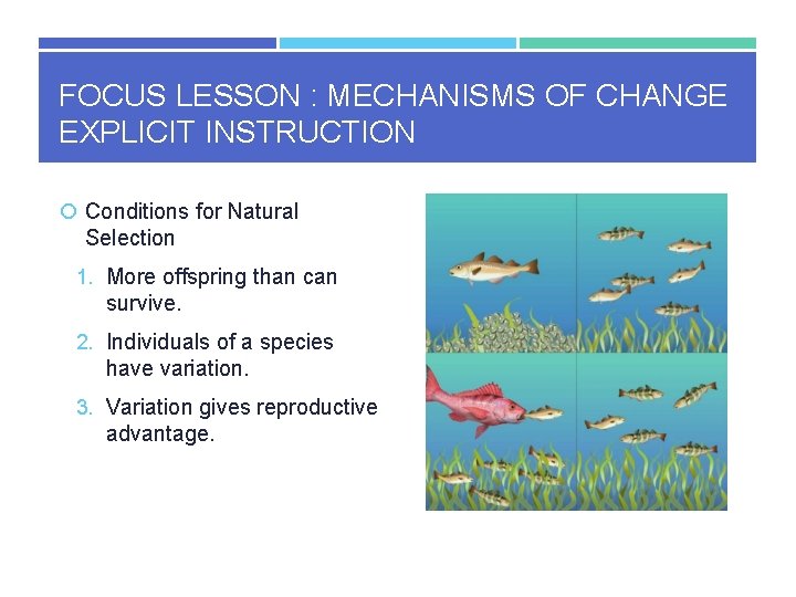 FOCUS LESSON : MECHANISMS OF CHANGE EXPLICIT INSTRUCTION Conditions for Natural Selection 1. More