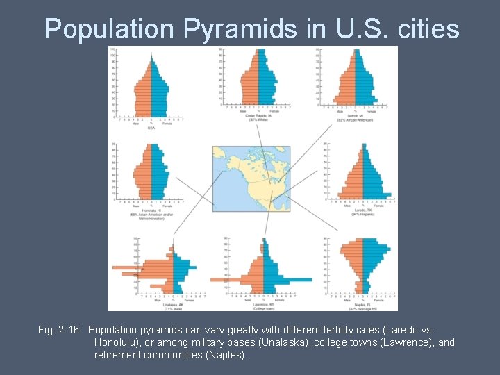 Population Pyramids in U. S. cities Fig. 2 -16: Population pyramids can vary greatly Population Pyramids in U. S. cities Fig. 2 -16: Population pyramids can vary greatly
