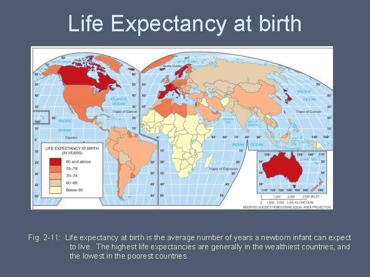 Life Expectancy at birth Fig. 2 -11: Life expectancy at birth is the average Life Expectancy at birth Fig. 2 -11: Life expectancy at birth is the average