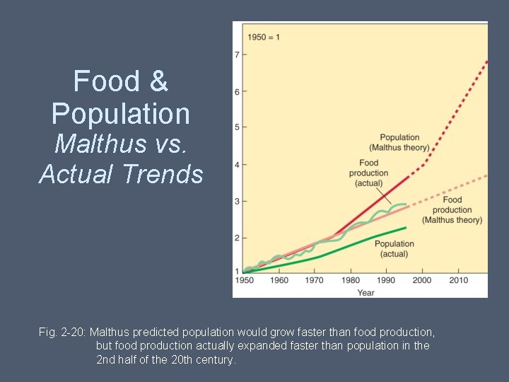 Food & Population Malthus vs. Actual Trends Fig. 2 -20: Malthus predicted population would Food & Population Malthus vs. Actual Trends Fig. 2 -20: Malthus predicted population would