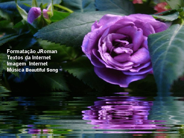 Formatação JRoman Textos da Internet Imagem Internet Música Beautiful Song 