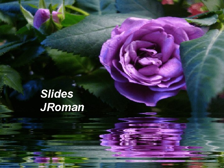 Slides JRoman 