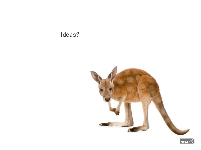 Ideas? Ideas?