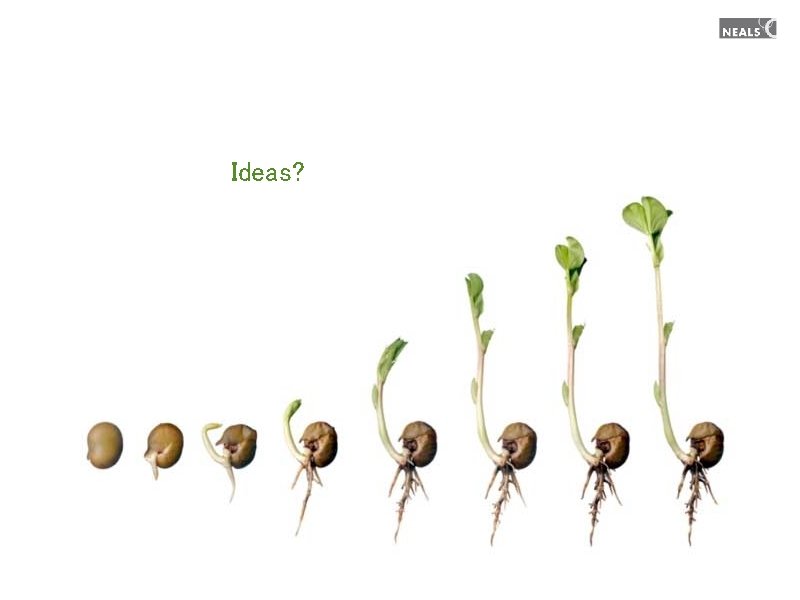 Ideas? Ideas?