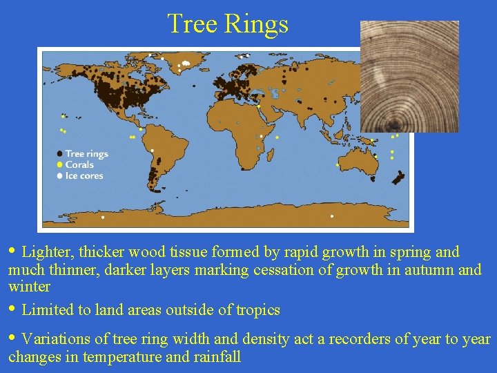 Tree Rings • Lighter, thicker wood tissue formed by rapid growth in spring and