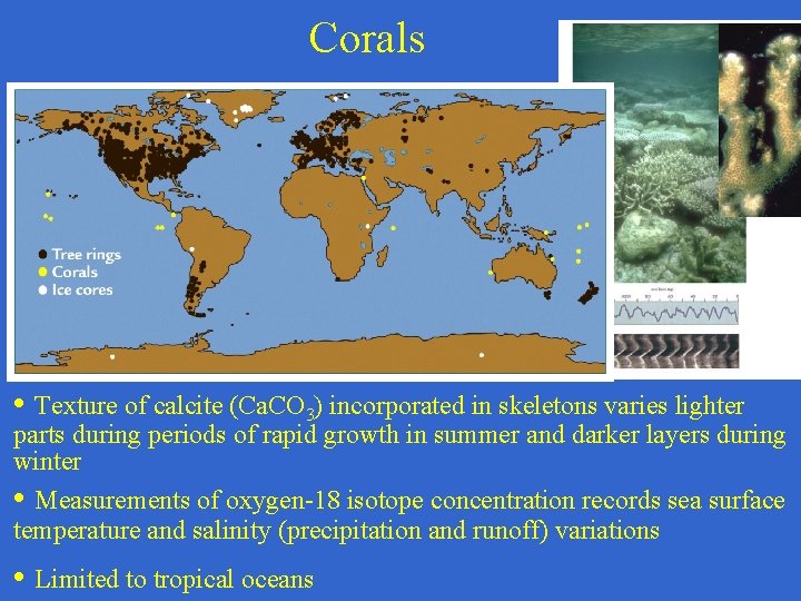Corals • Texture of calcite (Ca. CO 3) incorporated in skeletons varies lighter parts