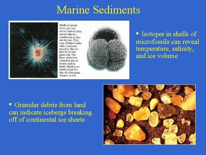 Marine Sediments • Isotopes in shells of microfossils can reveal temperature, salinity, and ice