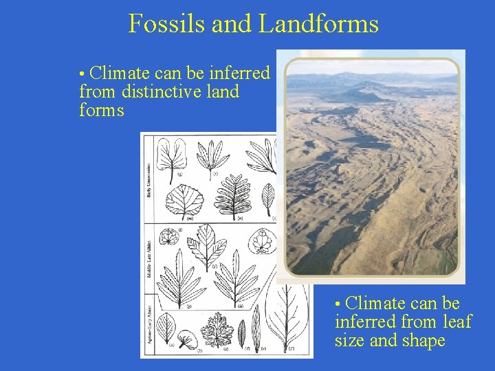 Fossils and Landforms • Climate can be inferred from distinctive land forms • Climate