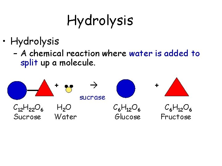 Hydrolysis • Hydrolysis – A chemical reaction where water is added to split up