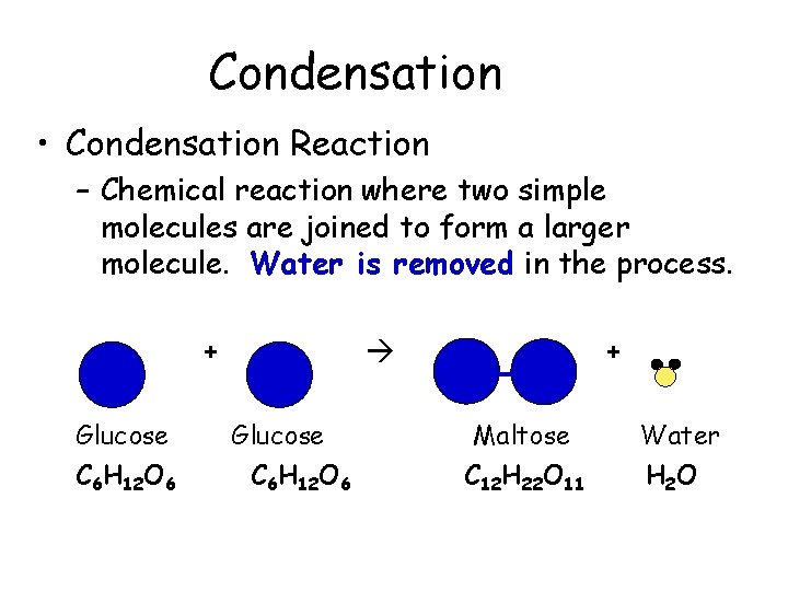 Condensation • Condensation Reaction – Chemical reaction where two simple molecules are joined to