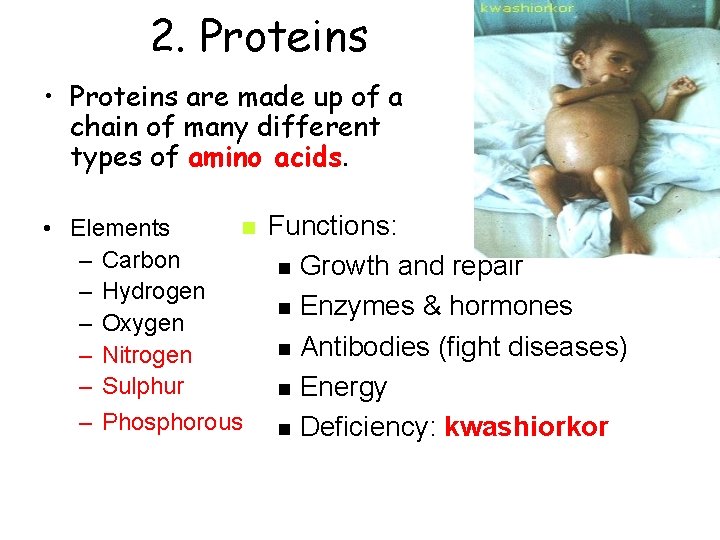 2. Proteins • Proteins are made up of a chain of many different types