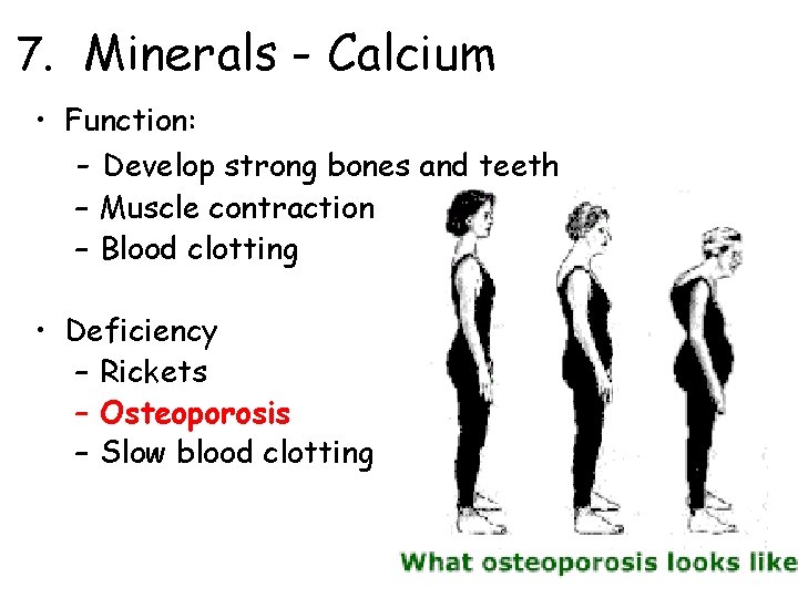 7. Minerals - Calcium • Function: - Develop strong bones and teeth – Muscle