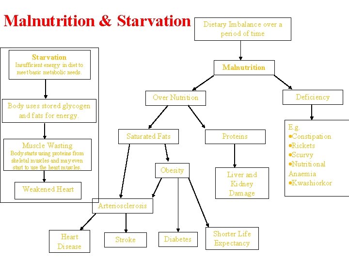 Malnutrition & Starvation Dietary Imbalance over a period of time Starvation Insufficient energy in