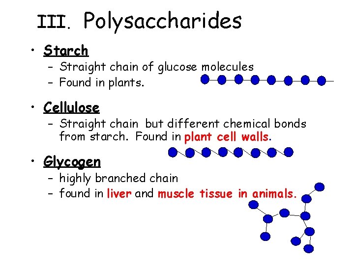 III. Polysaccharides • Starch – Straight chain of glucose molecules – Found in plants.