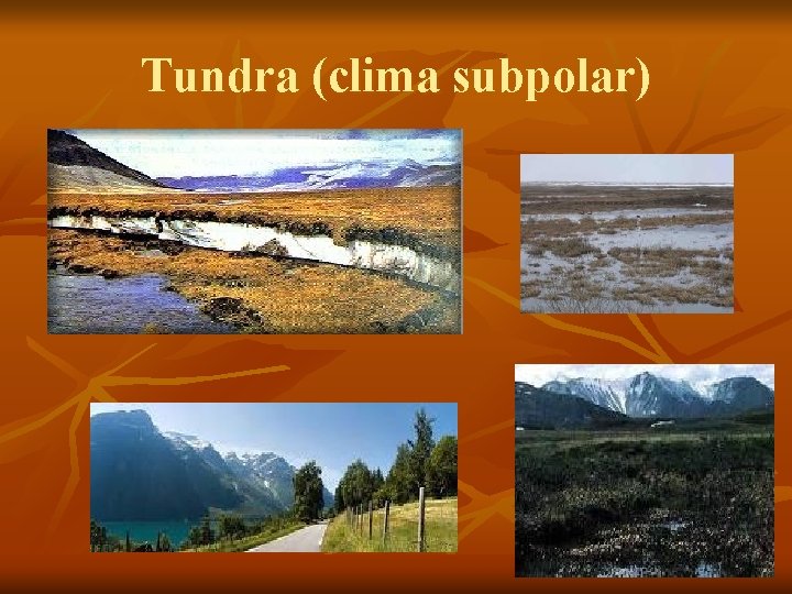 Tundra (clima subpolar) 