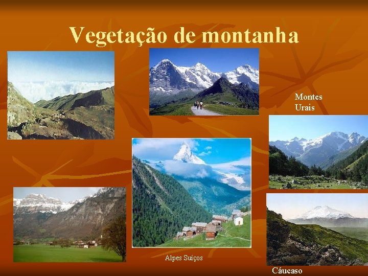 Vegetação de montanha Montes Urais Alpes Suíços Cáucaso 