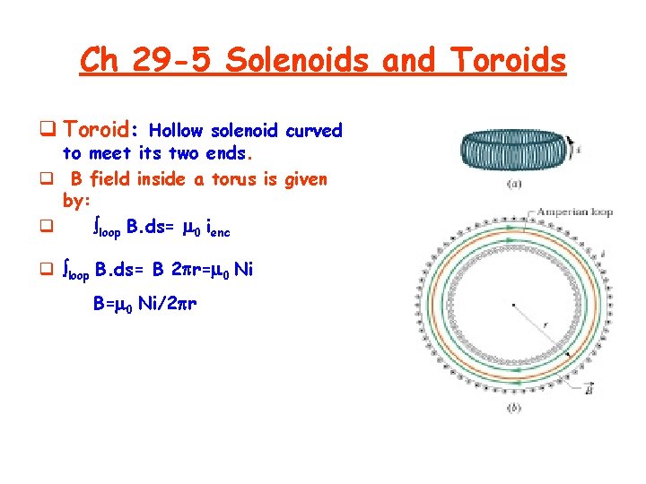 Ch 29 -5 Solenoids and Toroids q Toroid: Hollow solenoid curved to meet its