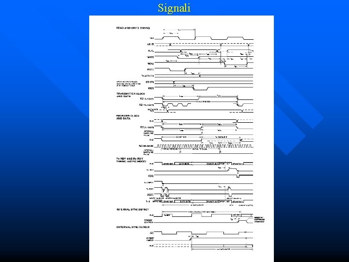 Signali 