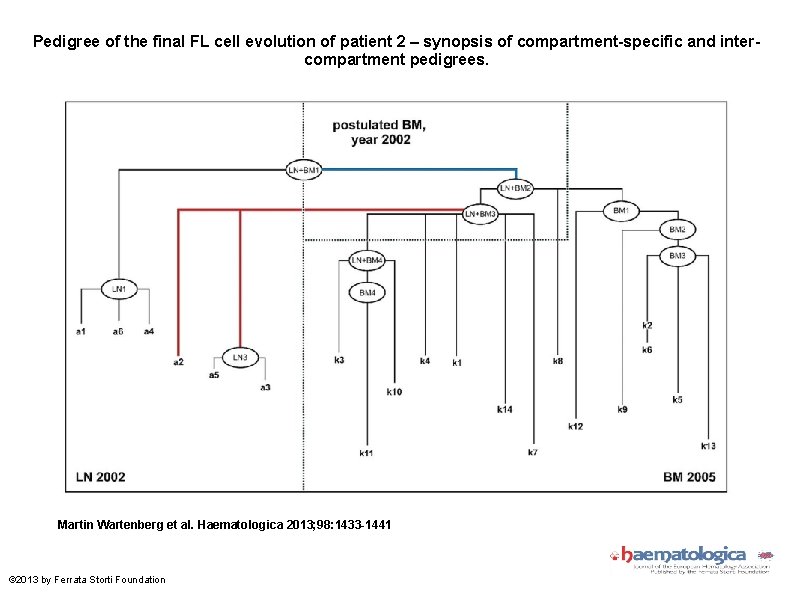 Pedigree of the final FL cell evolution of patient 2 – synopsis of compartment-specific