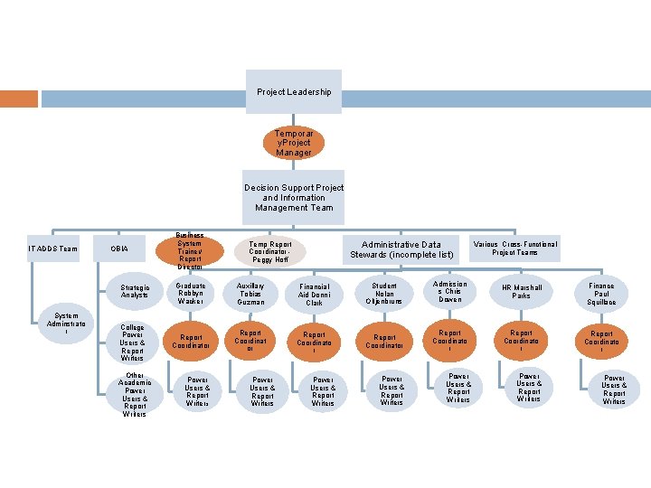 Project Leadership Temporar y. Project Manager Decision Support Project and Information Management Team IT