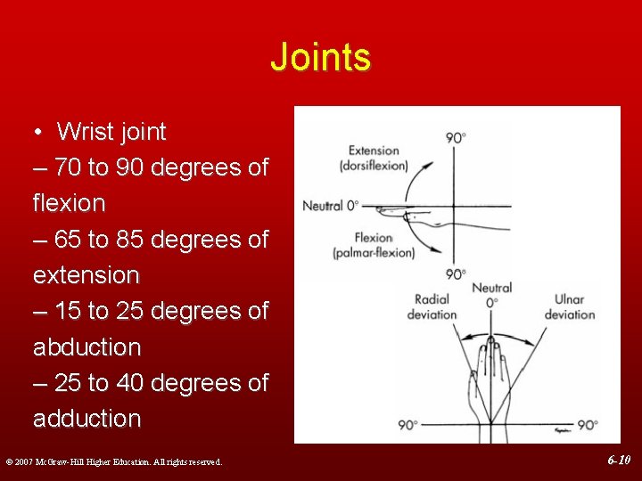 Joints • Wrist joint – 70 to 90 degrees of flexion – 65 to