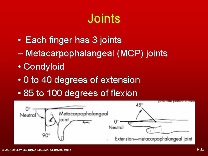 Joints • Each finger has 3 joints – Metacarpophalangeal (MCP) joints • Condyloid •