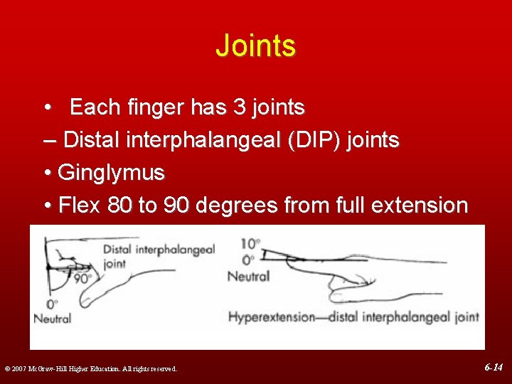 Joints • Each finger has 3 joints – Distal interphalangeal (DIP) joints • Ginglymus