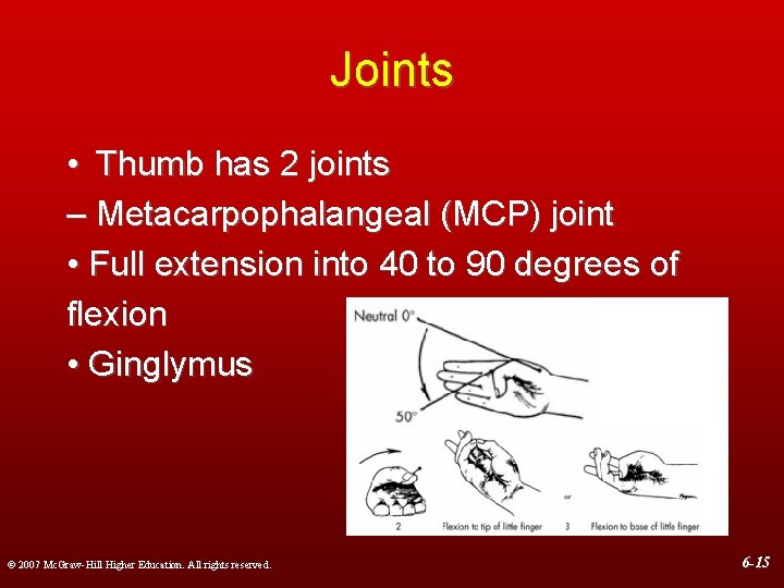 Joints • Thumb has 2 joints – Metacarpophalangeal (MCP) joint • Full extension into