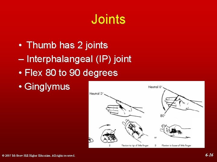 Joints • Thumb has 2 joints – Interphalangeal (IP) joint • Flex 80 to