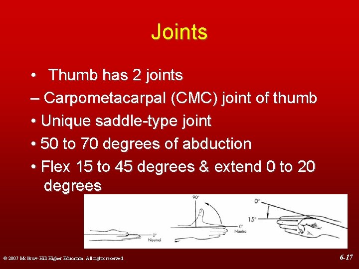 Joints • Thumb has 2 joints – Carpometacarpal (CMC) joint of thumb • Unique