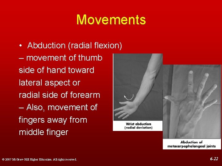 Movements • Abduction (radial flexion) – movement of thumb side of hand toward lateral