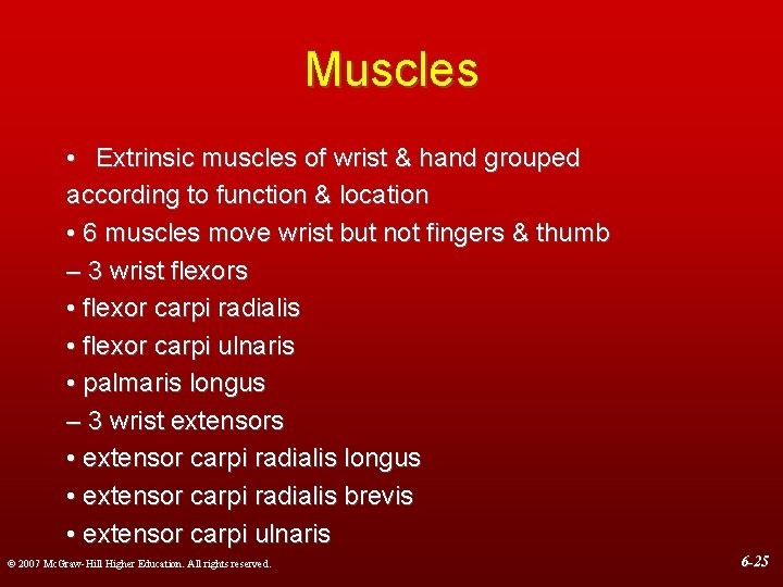 Muscles • Extrinsic muscles of wrist & hand grouped according to function & location