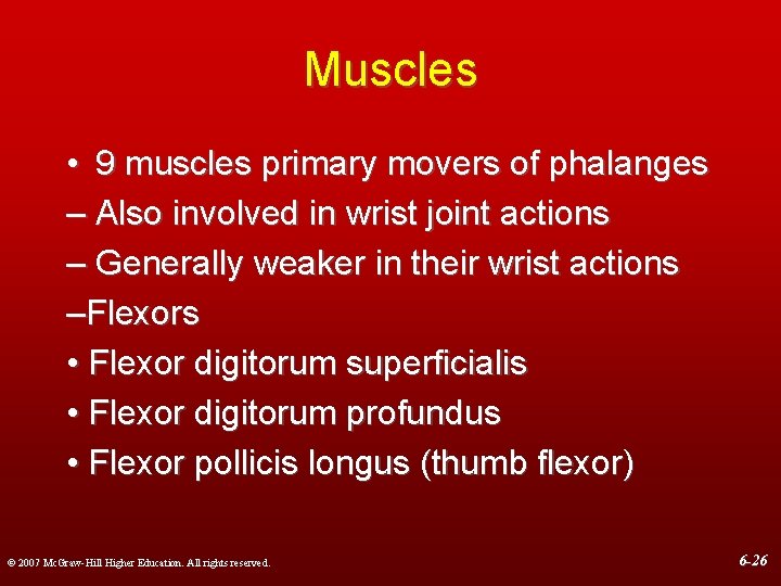 Muscles • 9 muscles primary movers of phalanges – Also involved in wrist joint