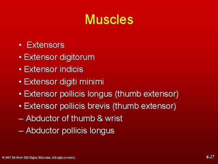 Muscles • Extensor digitorum • Extensor indicis • Extensor digiti minimi • Extensor pollicis