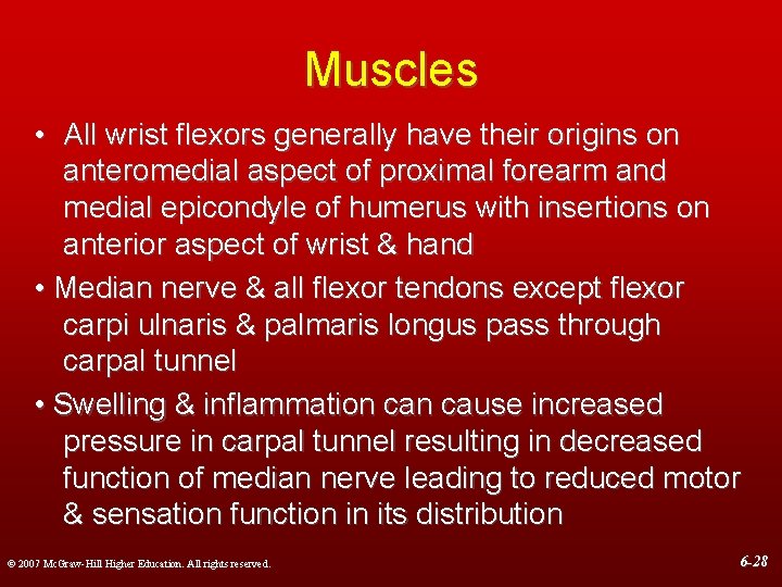 Muscles • All wrist flexors generally have their origins on anteromedial aspect of proximal