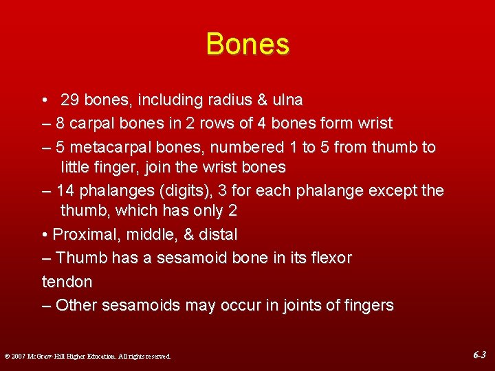 Bones • 29 bones, including radius & ulna – 8 carpal bones in 2