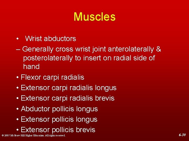 Muscles • Wrist abductors – Generally cross wrist joint anterolaterally & posterolaterally to insert