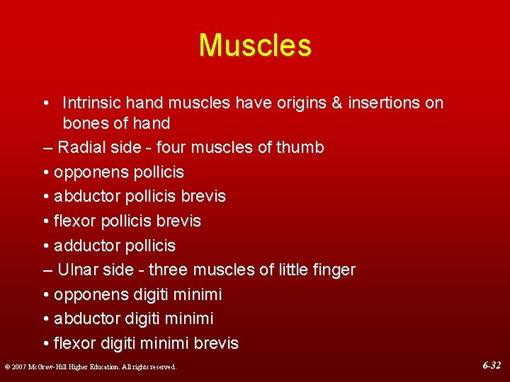 Muscles • Intrinsic hand muscles have origins & insertions on bones of hand –